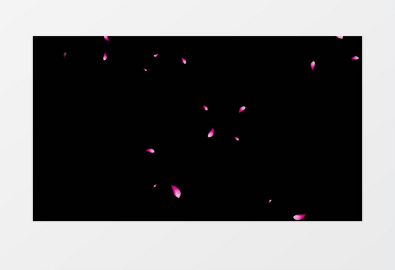 粉色花瓣飘落动画后期素材