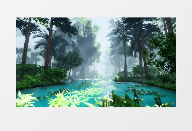 实拍丛林中缓缓流淌的小河流实拍视频素材