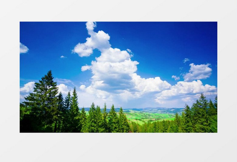 延时拍摄丛林上的白云翻腾景象实拍视频素材