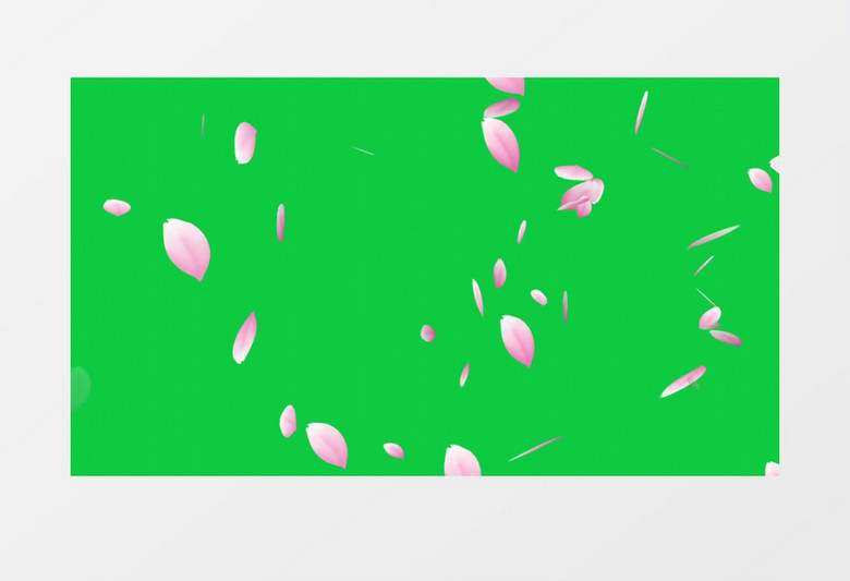 绿幕背景花瓣飘落动画后期素材