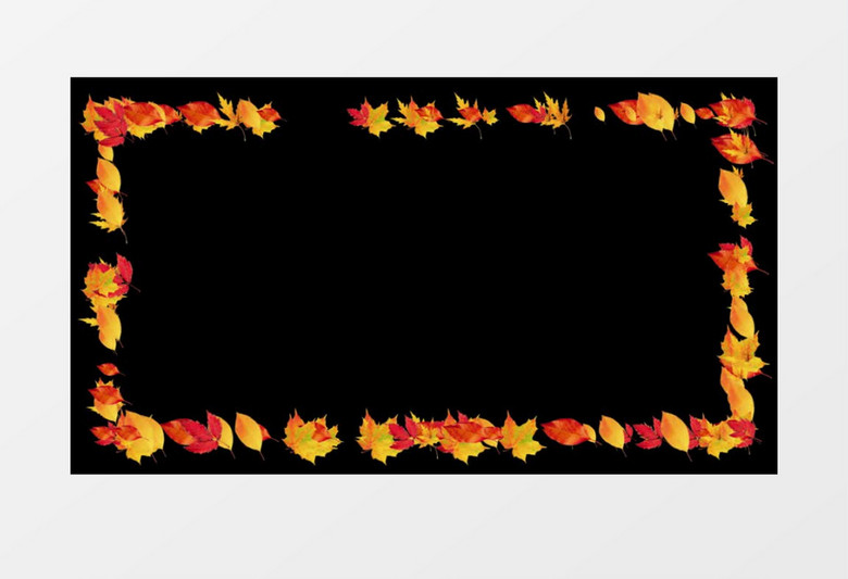 唯美动态树叶边框后期素材