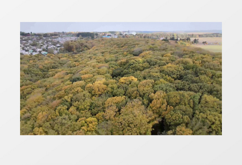 航拍城市外围的绿植景色实拍视频素材