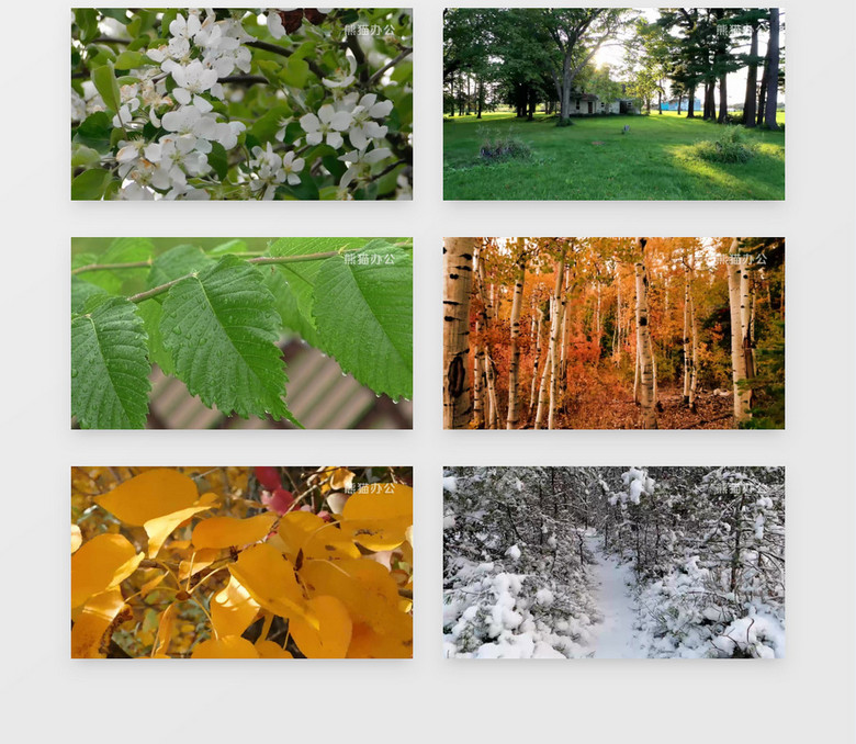 春夏秋冬迷人的景色实拍背景视频