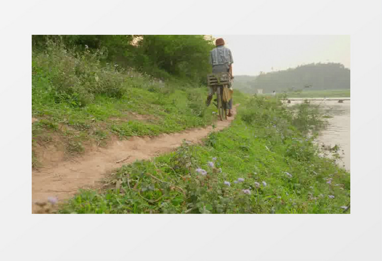 男人缓缓的骑自行车经过河边的羊肠小道实拍视频素材