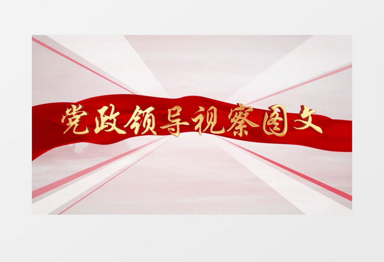 红色党政党建领导视察图文展示AE模板