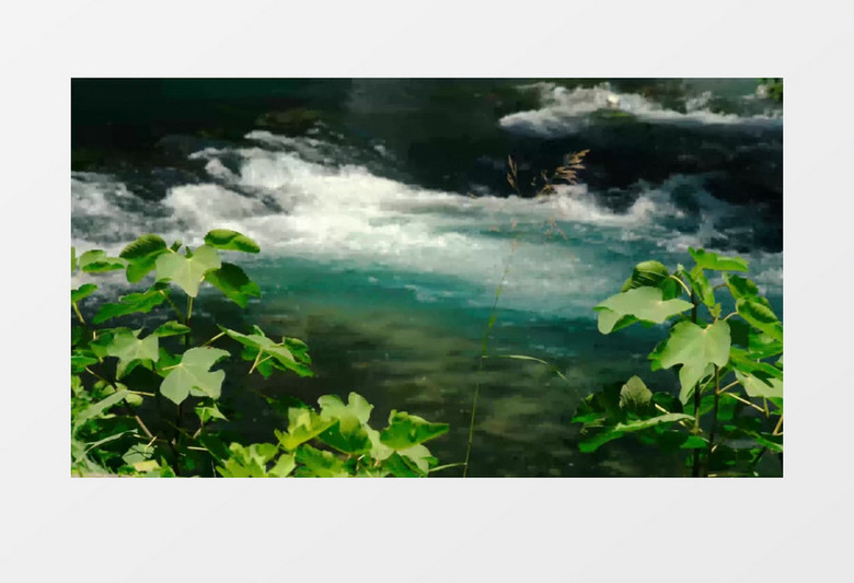 潺潺流淌的小溪水实拍视频素材