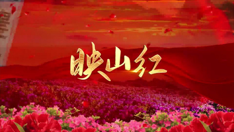 映山红配音成品节目背景歌曲歌词ae模板