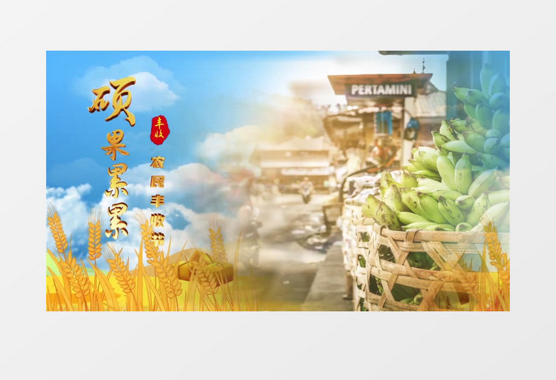 中国农民丰收节图文ae模板