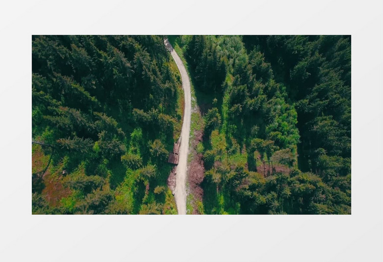 航拍山林中的道路和树木实拍视频素材
