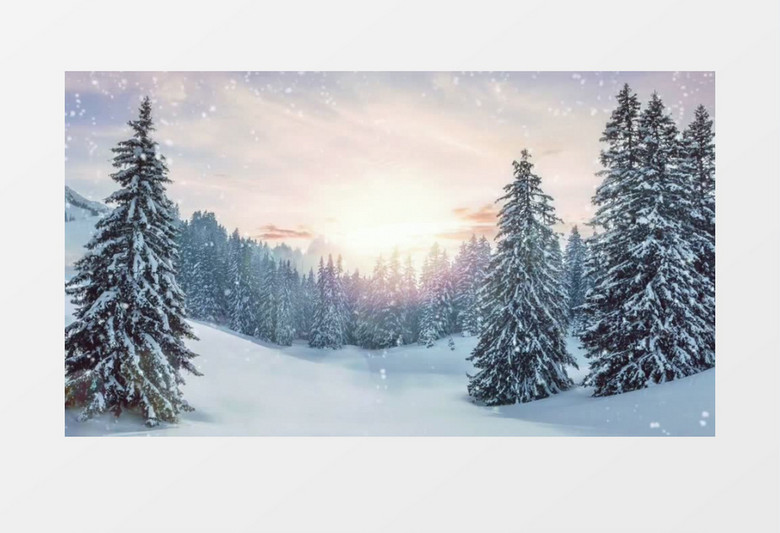 航拍被雪覆盖的丛林景象实拍视频素材