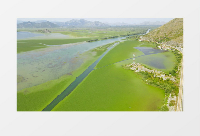 航拍湖面上绿色的海藻实拍视频素材