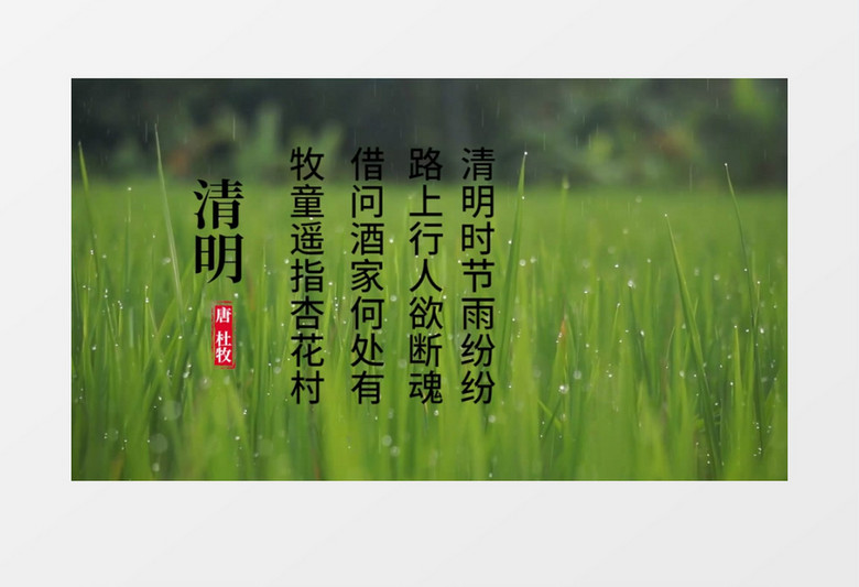 清新二十四节气之清明节宣传片头PR模板