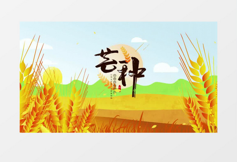 二十四节气之芒种AE模板