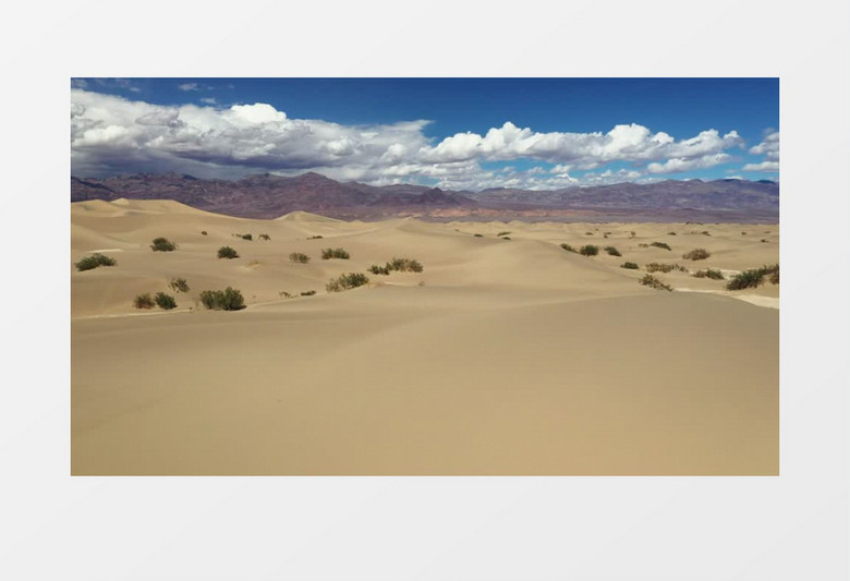 沙漠实景实拍素材