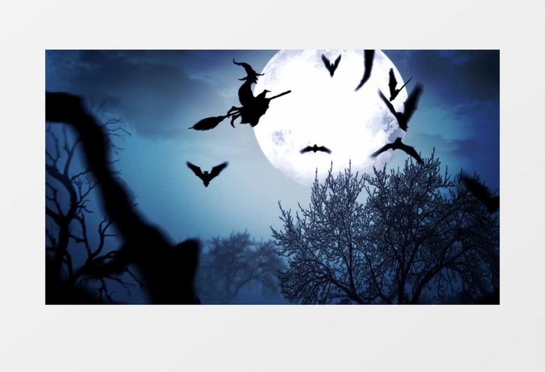 原创的万圣节蝙蝠飞舞开场视频AE模板