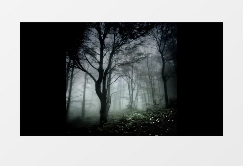 烟雾笼罩的恐怖树林有音乐背景视频