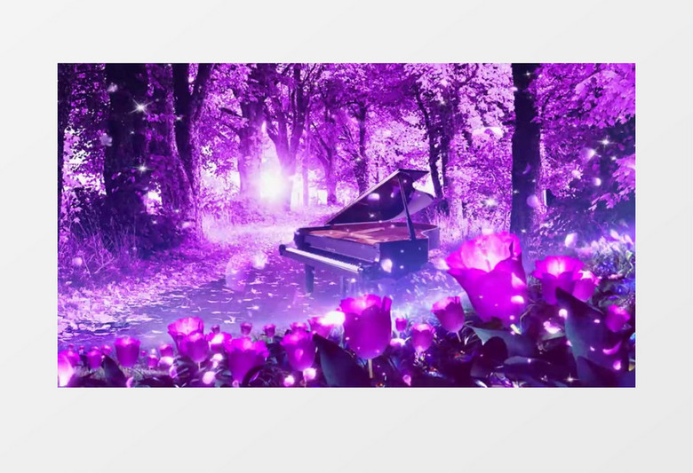 森林落叶钢琴紫色背景视频（有音乐）