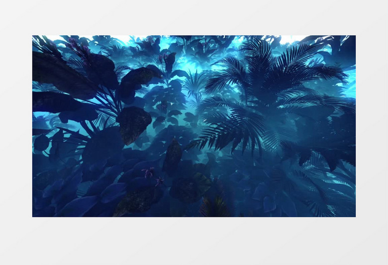 神秘树丛背景视频（有音乐）