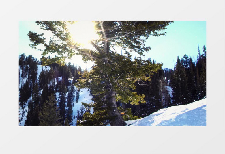 阳光下的雪山背景视频（有音乐）