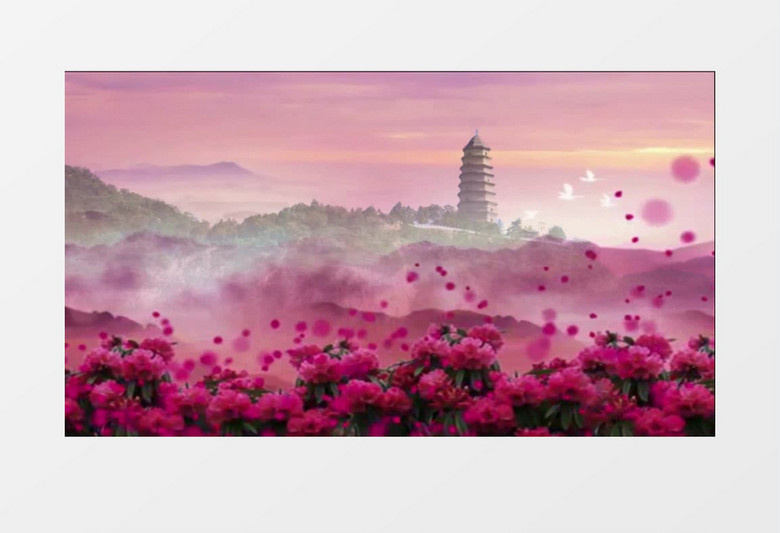 映山红背景视频（有音乐）