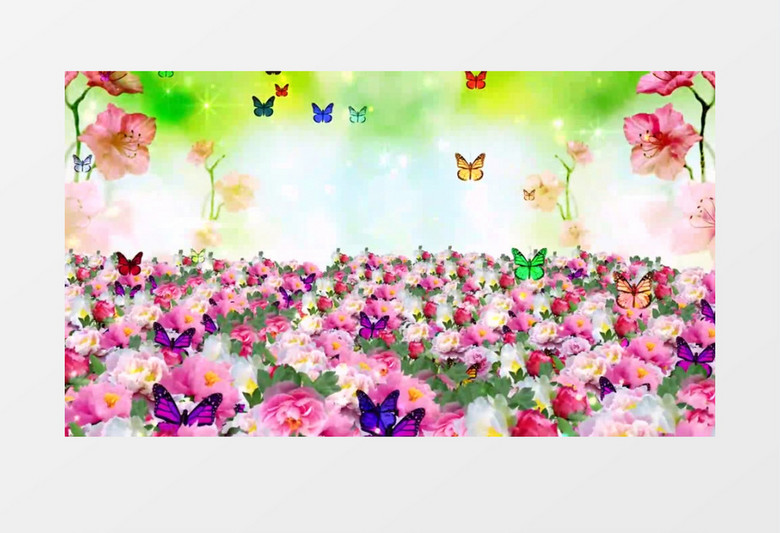 卡通唯美清新牡丹花背景视频（有音乐）