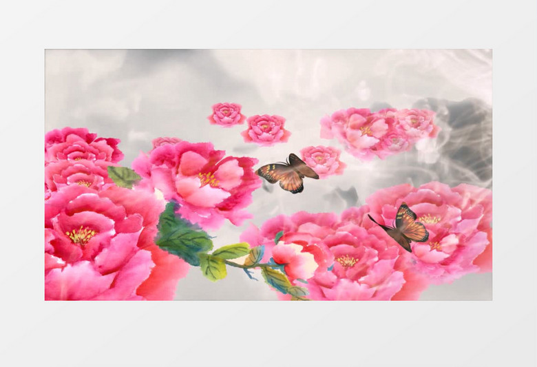 国画牡丹蝴蝶背景视频（有音乐）