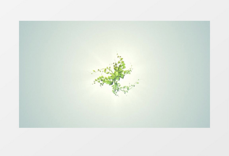 绿色植物生长动画标志展示ae模板