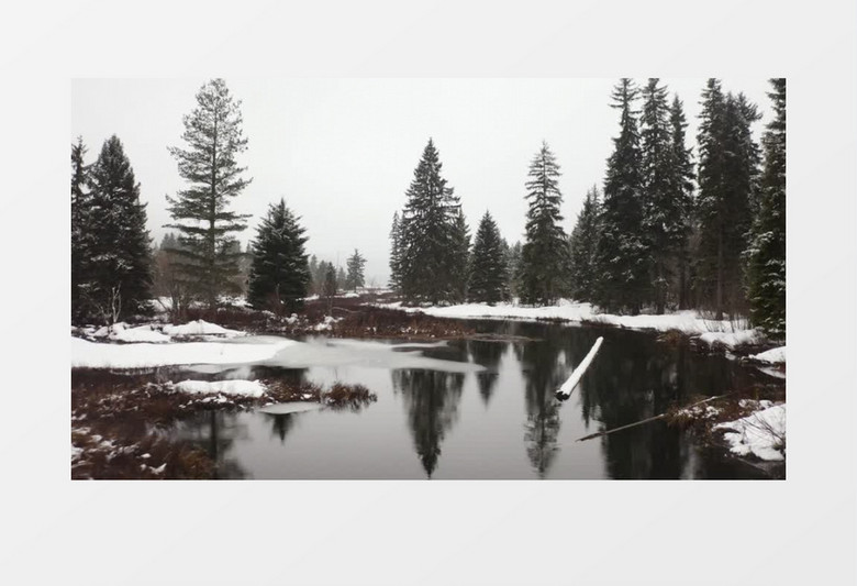 带有河流的雪地森林景观实拍视频素材