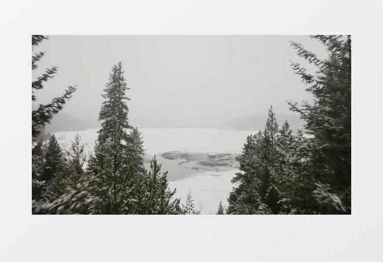 高清拍摄穿过松树顶部白雪皑皑的雪地实拍视频素材