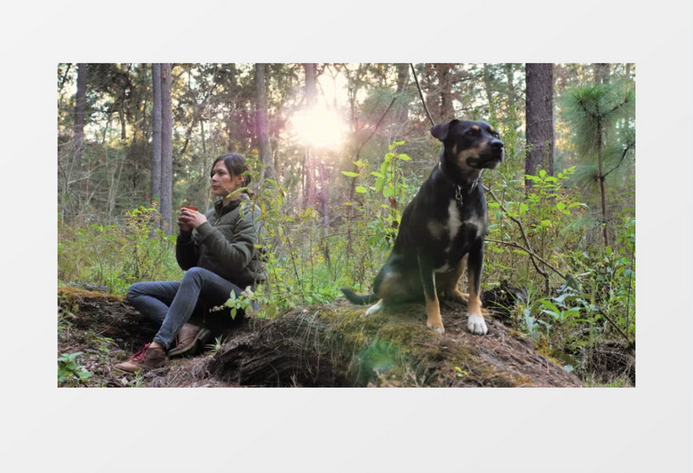 一个女人正在和热饮和她的狗在森林里实拍视频素材