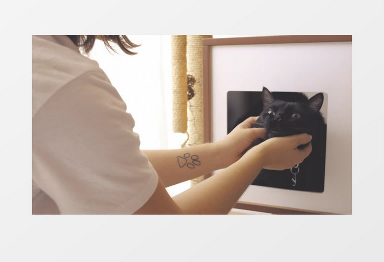宠物主人在抚摸黑猫实拍视频素材