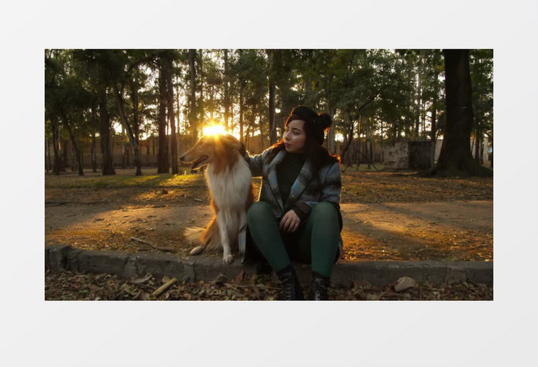 漂亮女孩跟棕色的牧羊犬坐在公园里实拍视频素材