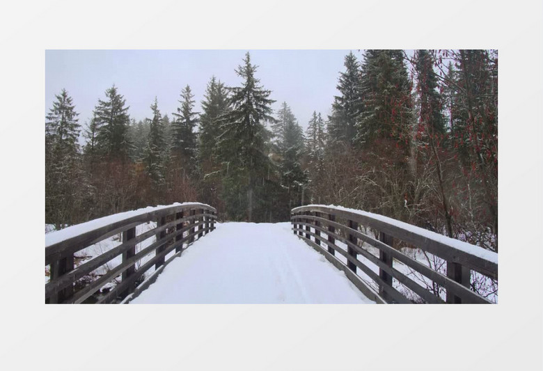 固定机位拍摄一座桥这时正在下着雪实拍视频素材