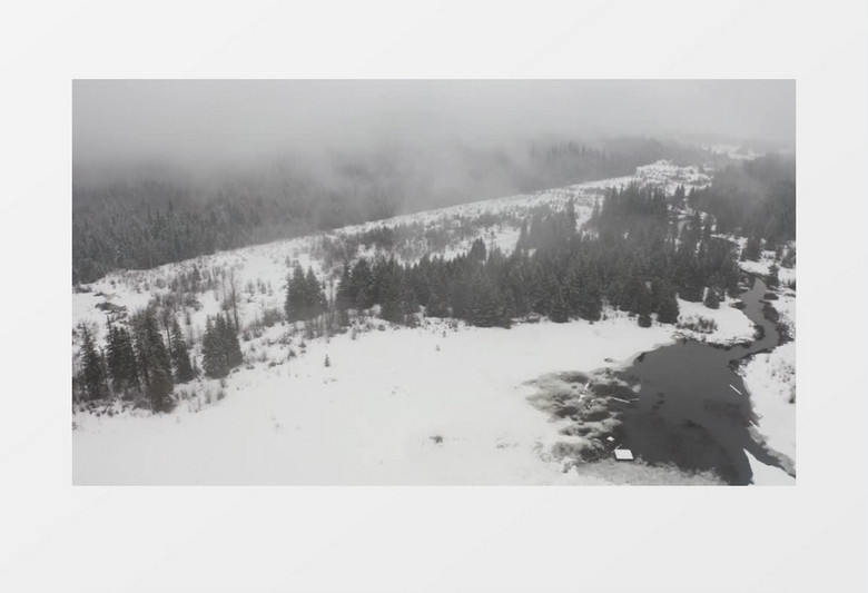 航拍下雪天里的森林实拍视频素材