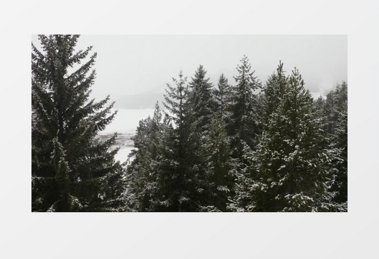 环绕拍摄白雪皑皑的森林的松树实拍素材