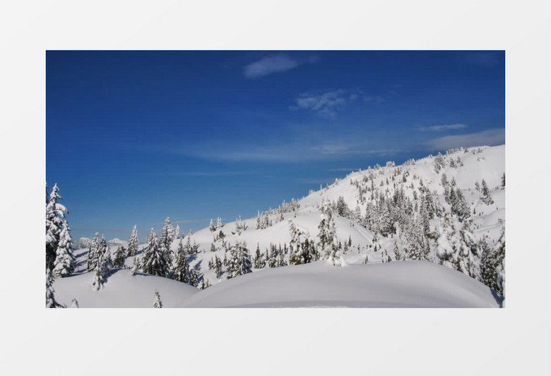 覆盖着白雪和松树的山丘实拍视频素材