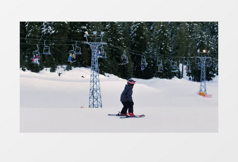 孩子们在松林的平原上滑雪实拍视频素材