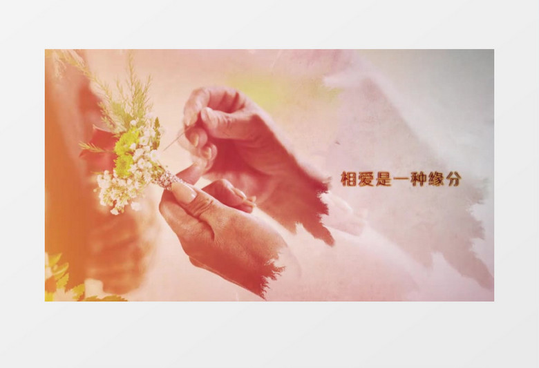 水墨国风婚礼动态相册PR模板