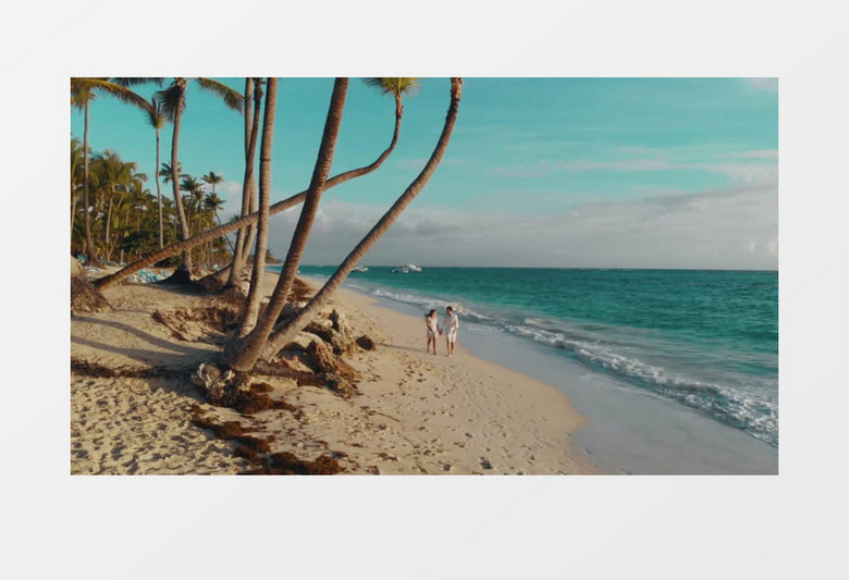 在美丽的海边牵手散步的情侣实拍视频素材