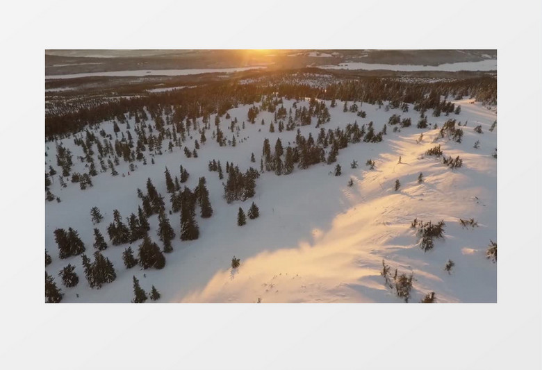 落日下的雪地森林实拍视频素材