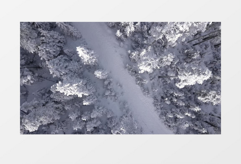 俯拍大雪树林中的小路实拍视频素材