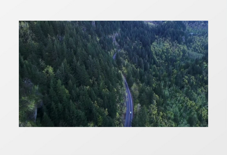 俯拍小白车驶入森林深处实拍视频素材