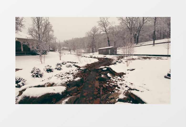雪中淳淳流水的小溪实拍视频素材