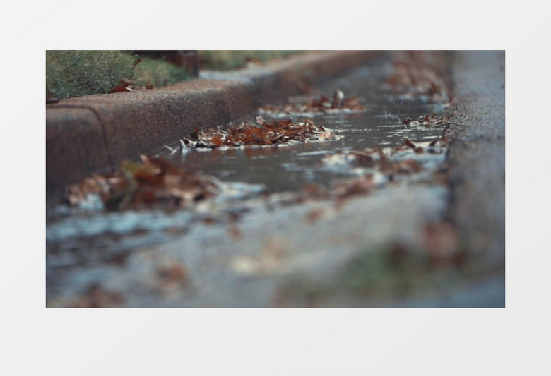 小雨滴落在街道实拍视频素材