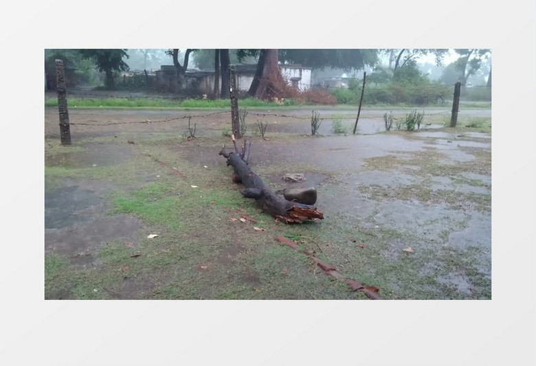 郊外下雨的下午实拍视频素材