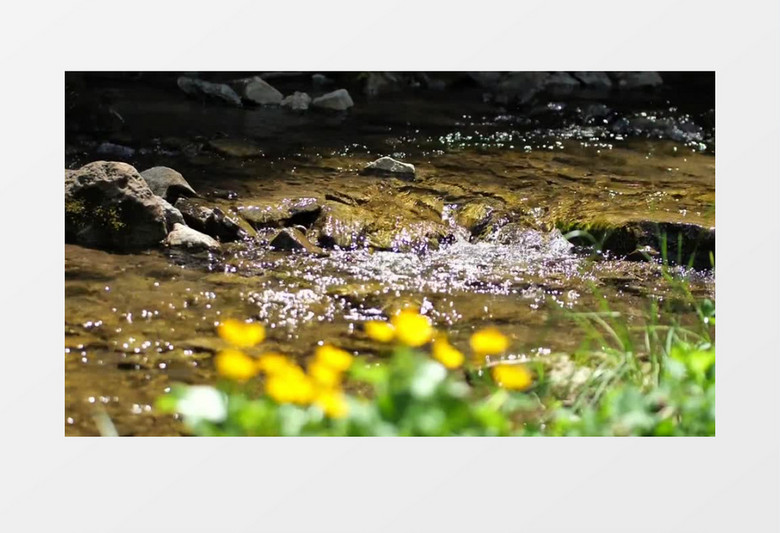 清澈的河水潺潺流淌实拍视频素材
