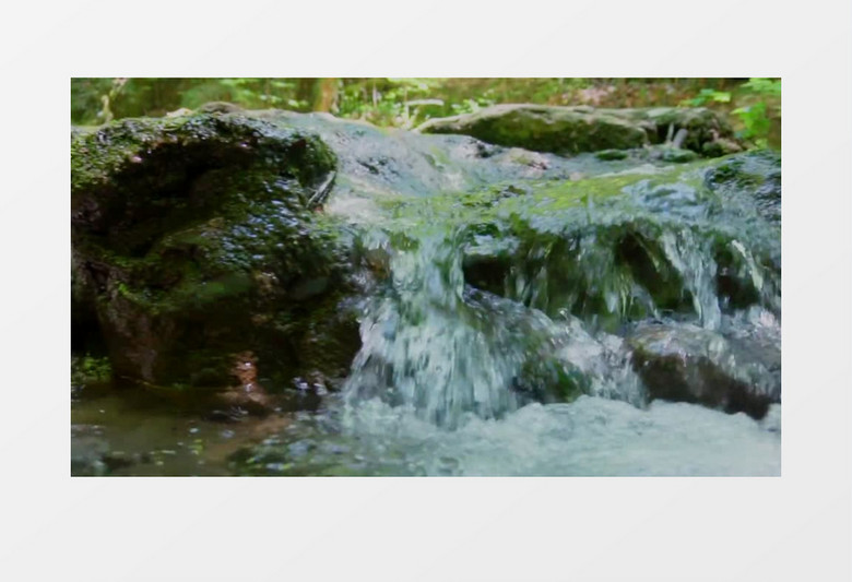 河水里的石头长满了绿色的青苔实拍视频素材