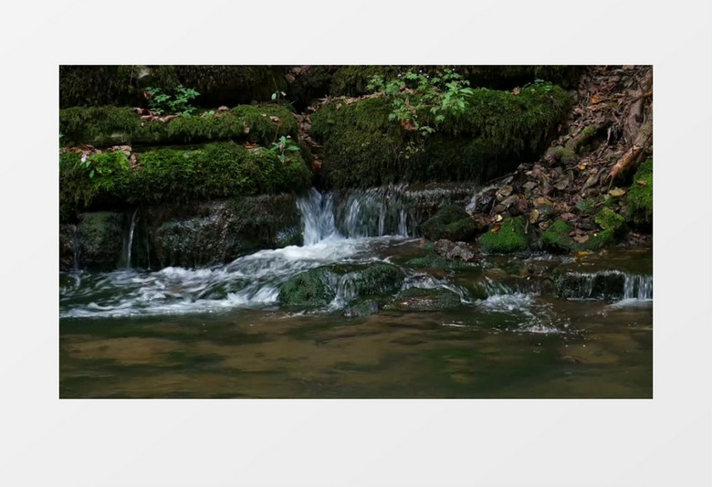 在长满青苔的山涧上流淌的溪水实拍视频素材