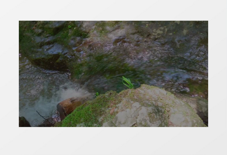 溪水在石头上不断流淌实拍视频素材