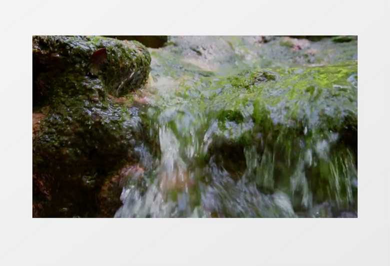 溪水流淌过长满青苔的岩石实拍视频素材